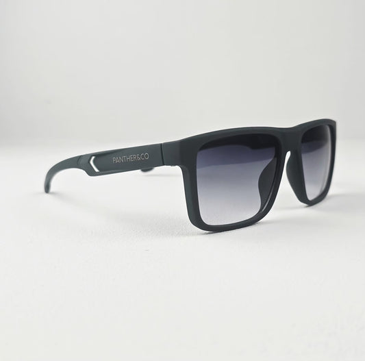 Gafas de sol unisex LION classic